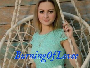 BurningOfLovee