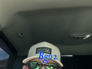 Bg92