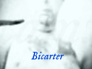 Bicarter