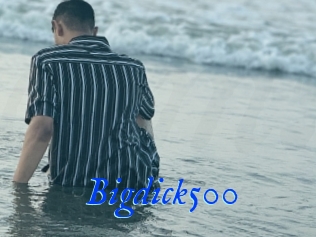 Bigdick500