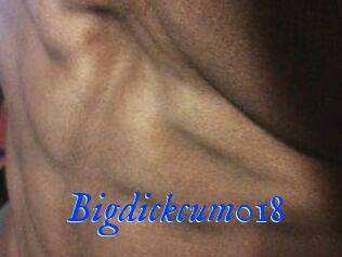 Bigdickcum018