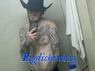 Bigdickrick23