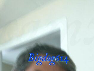Bigdog614