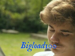 Bigload100