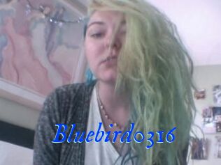 Bluebird0316
