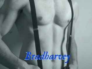 Bradharvey