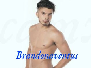 Brandonaventus