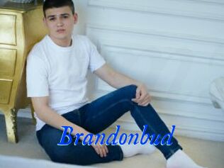 Brandonbud