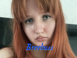 Breebuss