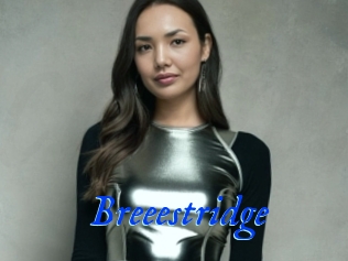 Breeestridge