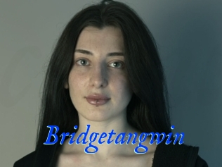 Bridgetangwin