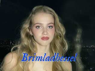 Brimladhessel