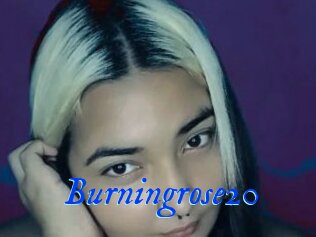 Burningrose20