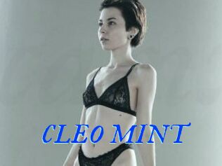 CLEO_MINT