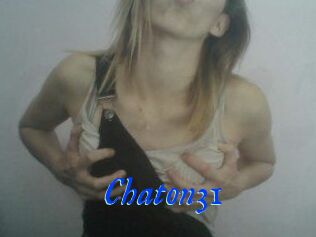 Chaton31