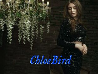 ChloeBird