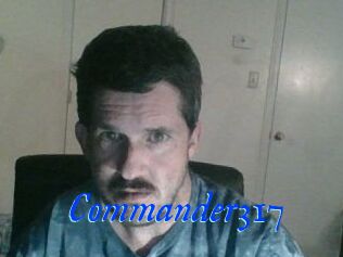 Commander317