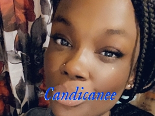 Candicanee