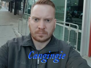 Cangingie
