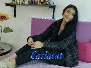 Carlacat
