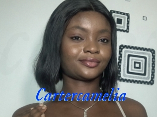 Cartercamelia