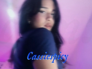 Cassiespicy