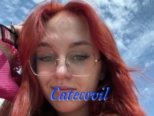 Catecovil