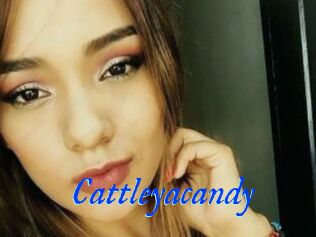 Cattleyacandy