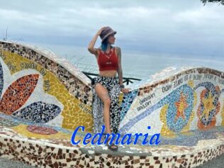 Cedmaria