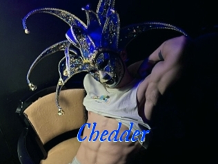 Chedder
