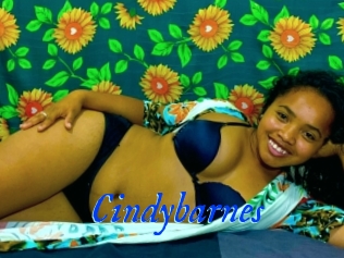 Cindybarnes