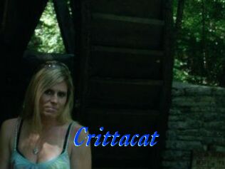 Crittacat