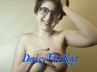 DaisyTheKat