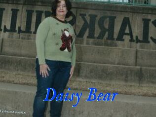 Daisy_Bear