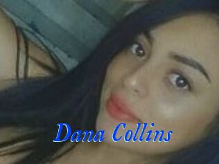 Dana_Collins