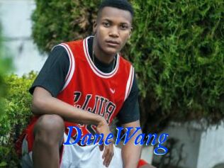 DaneWang