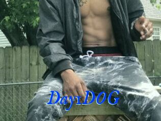 Day1DOG