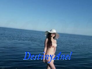 DestinyAnel