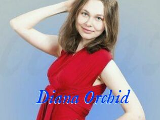 Diana_Orchid