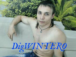 DigWINTERO