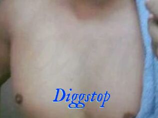 Diggstop