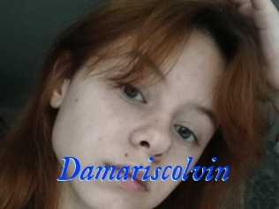 Damariscolvin
