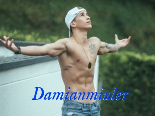 Damianmiuler