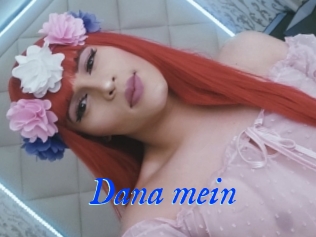 Dana_mein