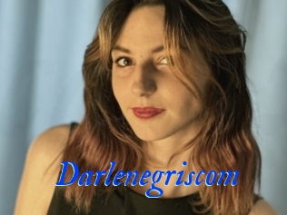 Darlenegriscom