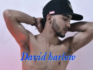 David_harlow