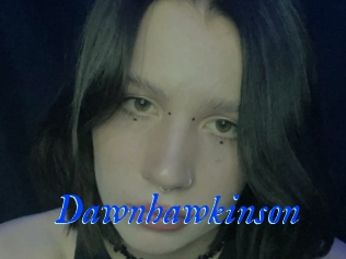 Dawnhawkinson