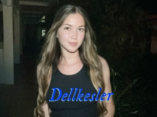 Dellkesler