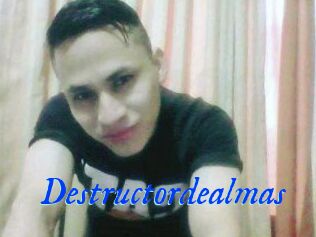 Destructordealmas