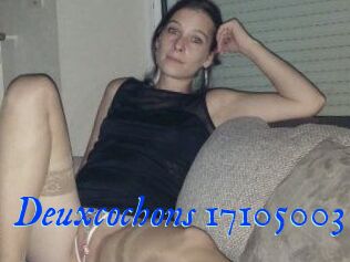 Deuxcochons
